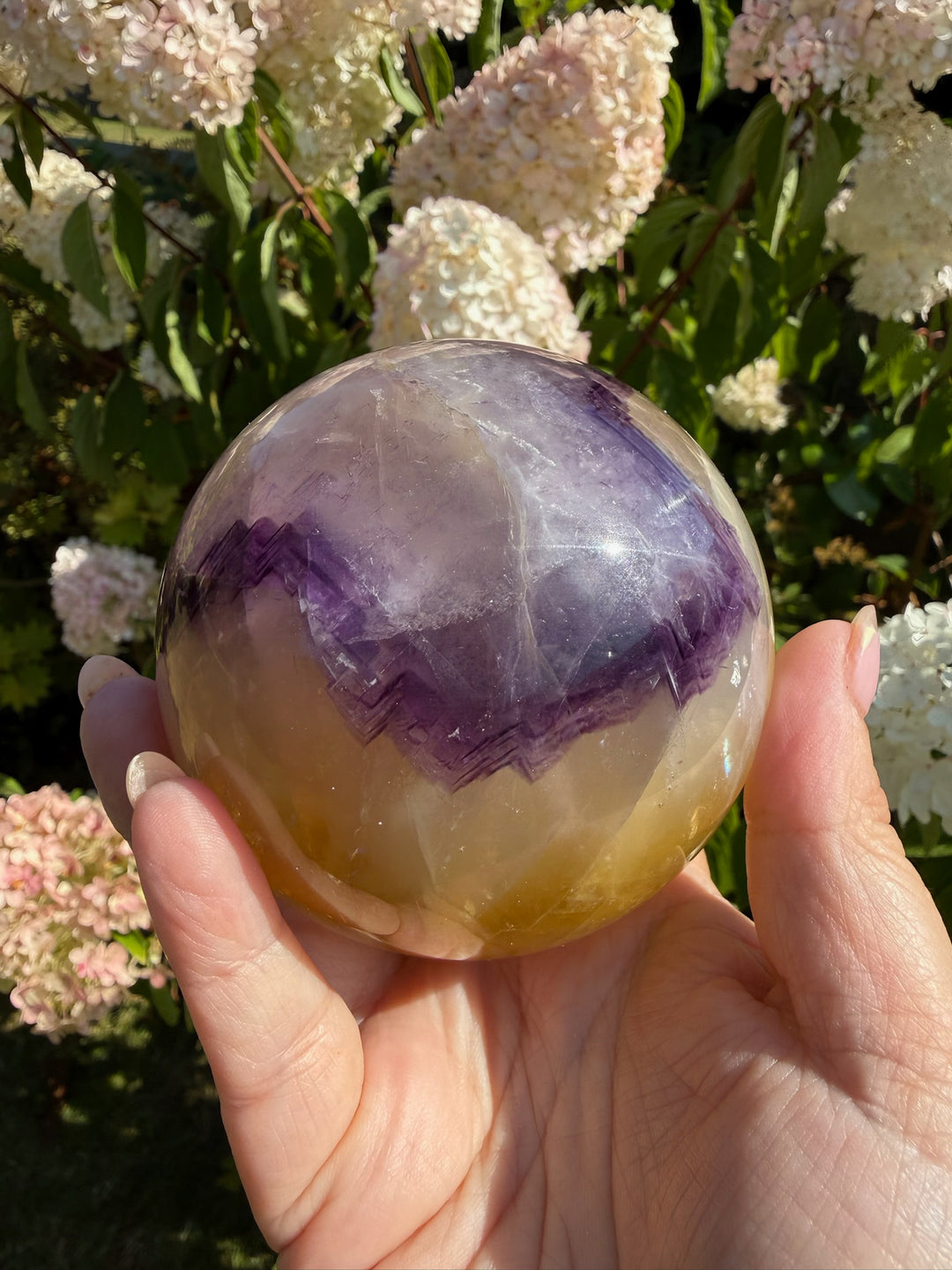 Quality Purple and Yellow Fluorite Sphere 8.1cm Dia