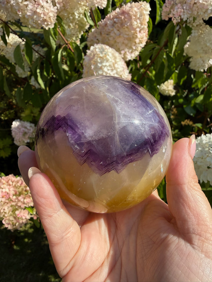 Quality Purple and Yellow Fluorite Sphere 8.1cm Dia