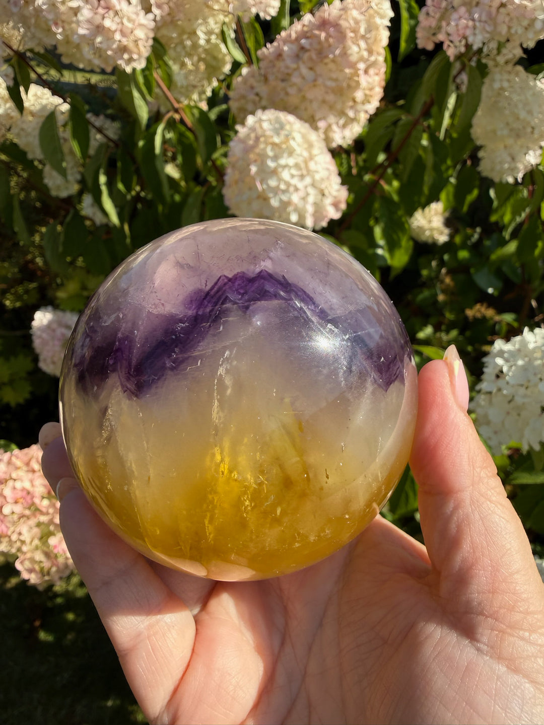 Quality Purple and Yellow Fluorite Sphere 8.1cm Dia