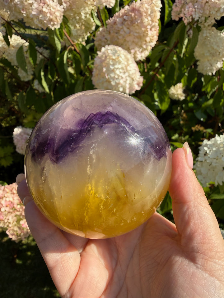 Quality Purple and Yellow Fluorite Sphere 8.1cm Dia