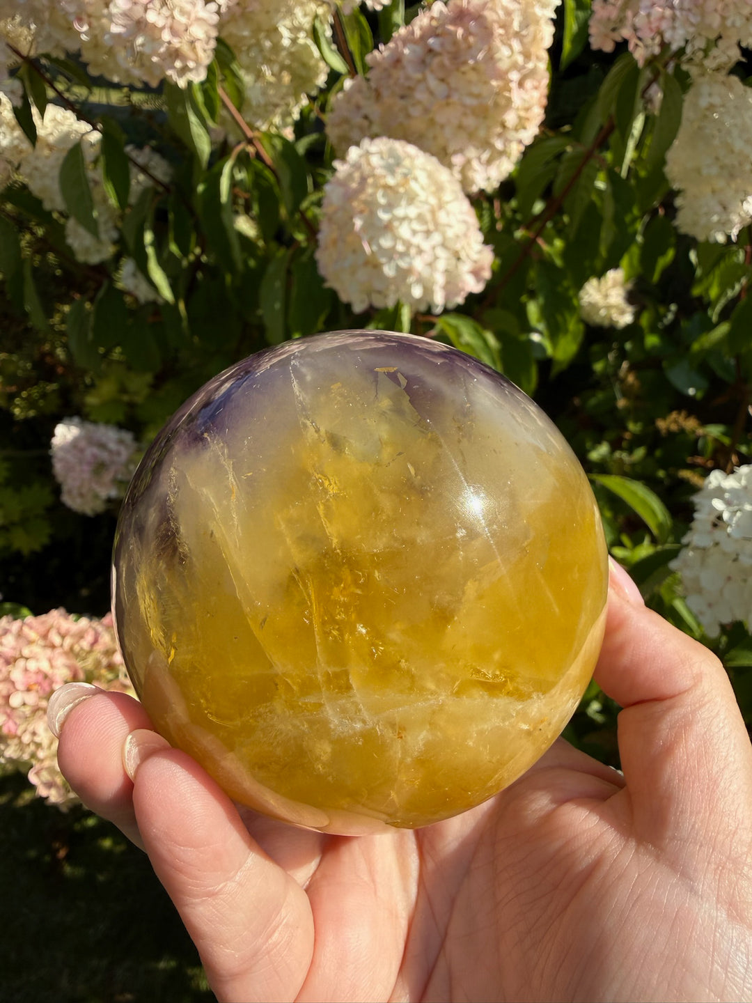 Quality Purple and Yellow Fluorite Sphere 8.1cm Dia