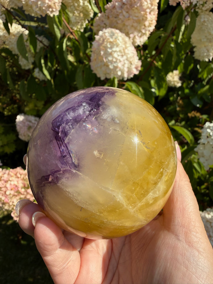 Quality Purple and Yellow Fluorite Sphere 8.1cm Dia