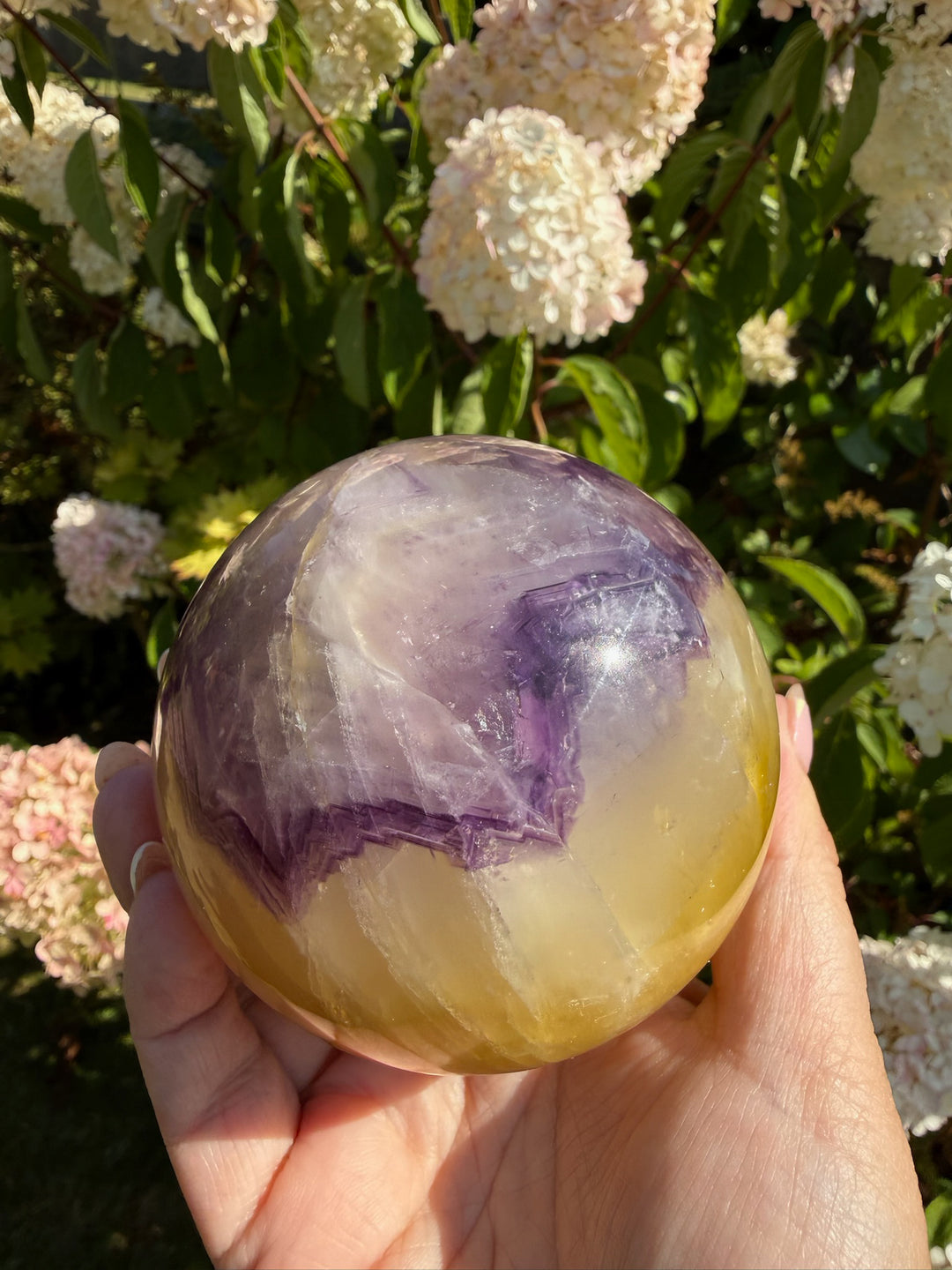 Quality Purple and Yellow Fluorite Sphere 8.1cm Dia