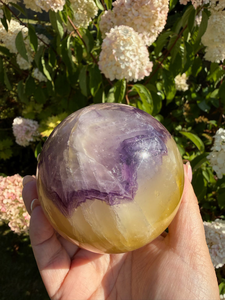 Quality Purple and Yellow Fluorite Sphere 8.1cm Dia