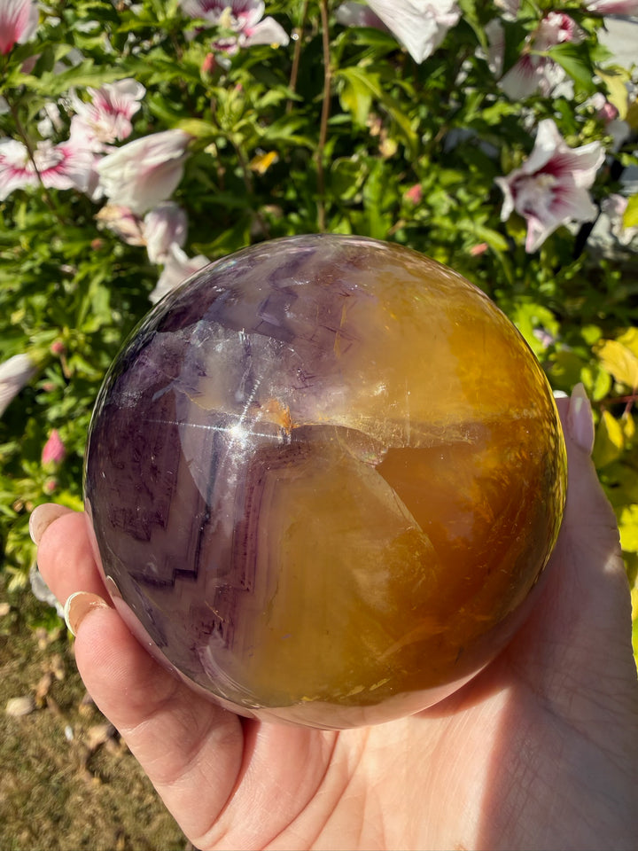 Quality Purple and Yellow Fluorite Sphere 8.4cm Dia