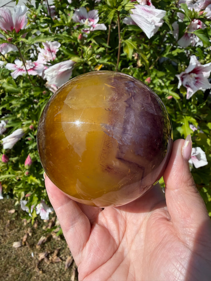 Quality Purple and Yellow Fluorite Sphere 8.4cm Dia