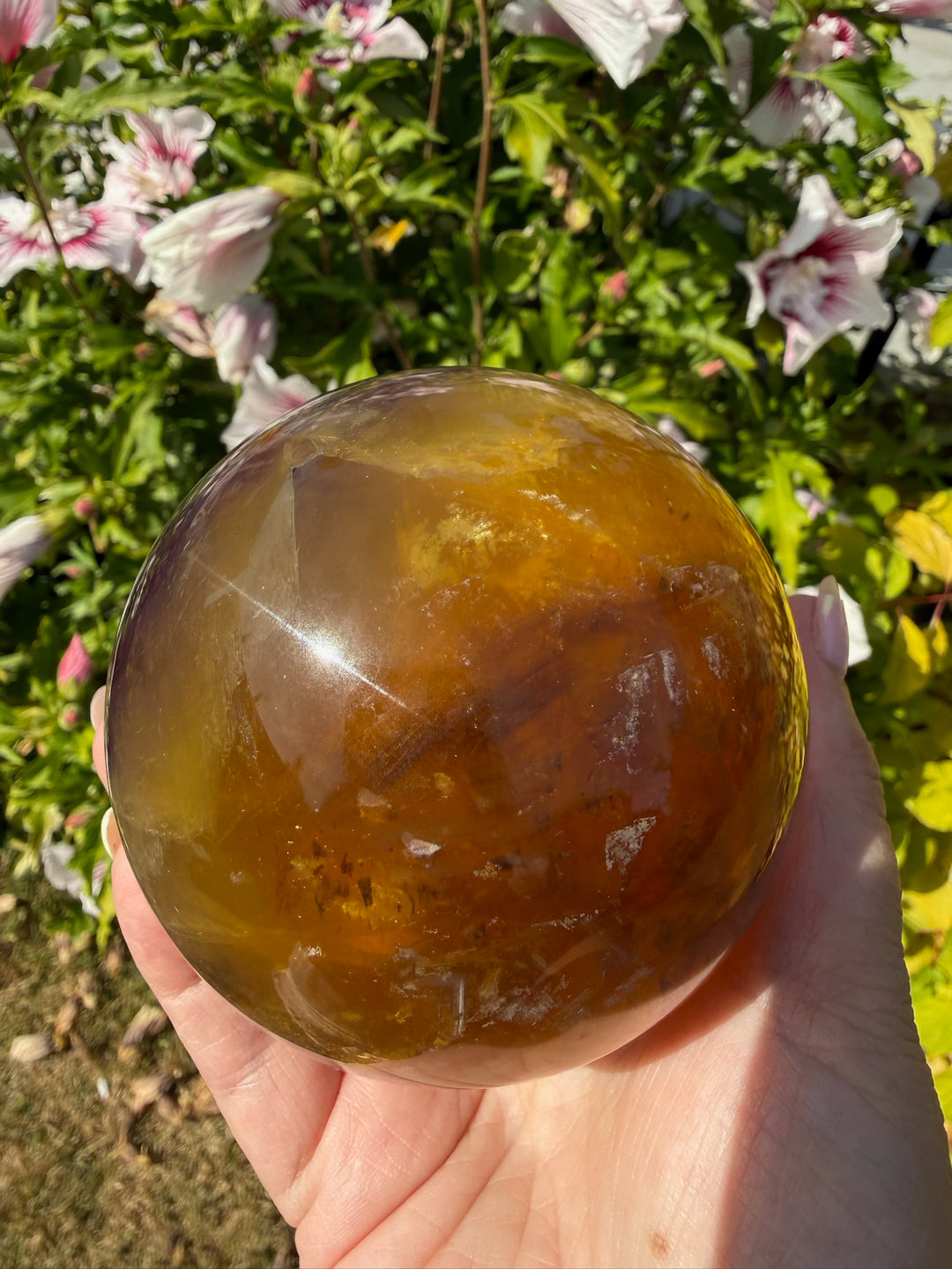 Quality Purple and Yellow Fluorite Sphere 8.4cm Dia