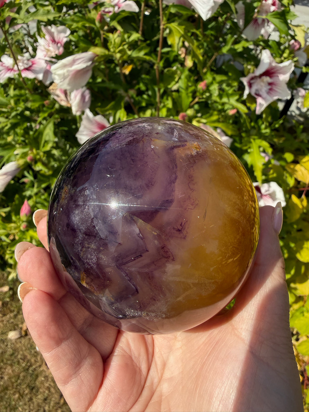 Quality Purple and Yellow Fluorite Sphere 8.4cm Dia