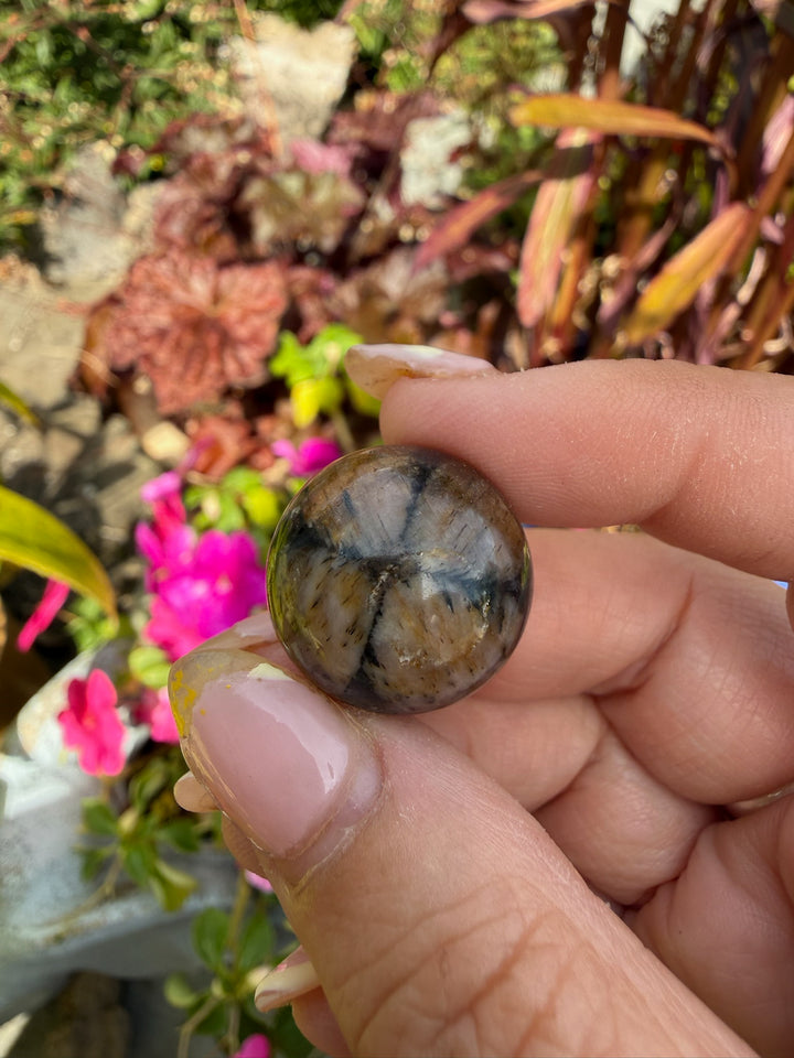 Chiastolite Sphere 1.9cm Dia