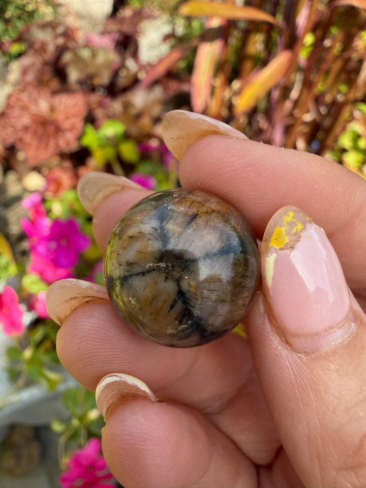 Chiastolite Sphere 1.9cm Dia