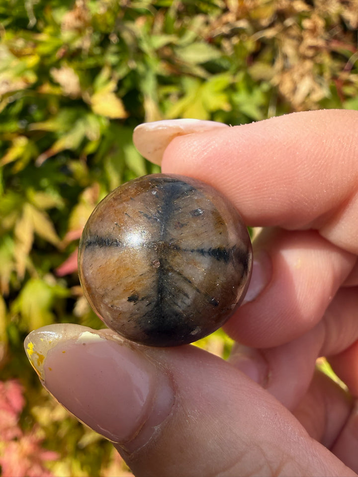 Chiastolite Sphere 1.9cm Dia
