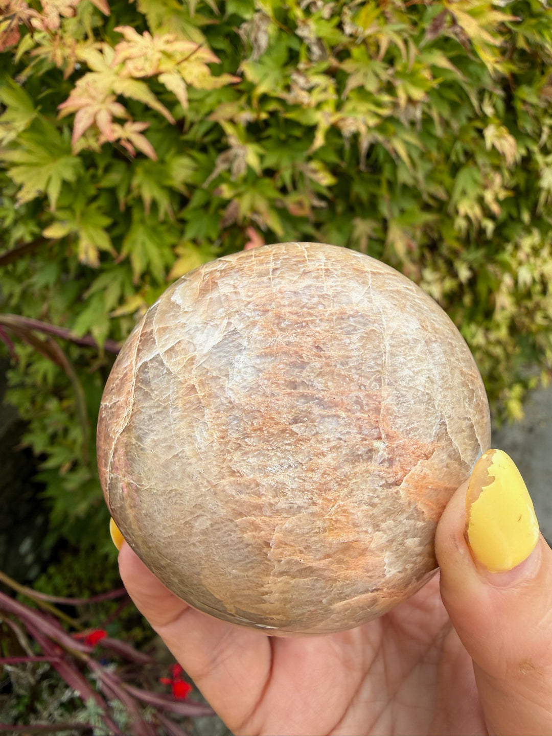 Peach Moonstone Sphere with Sheen 6.5cm Dia