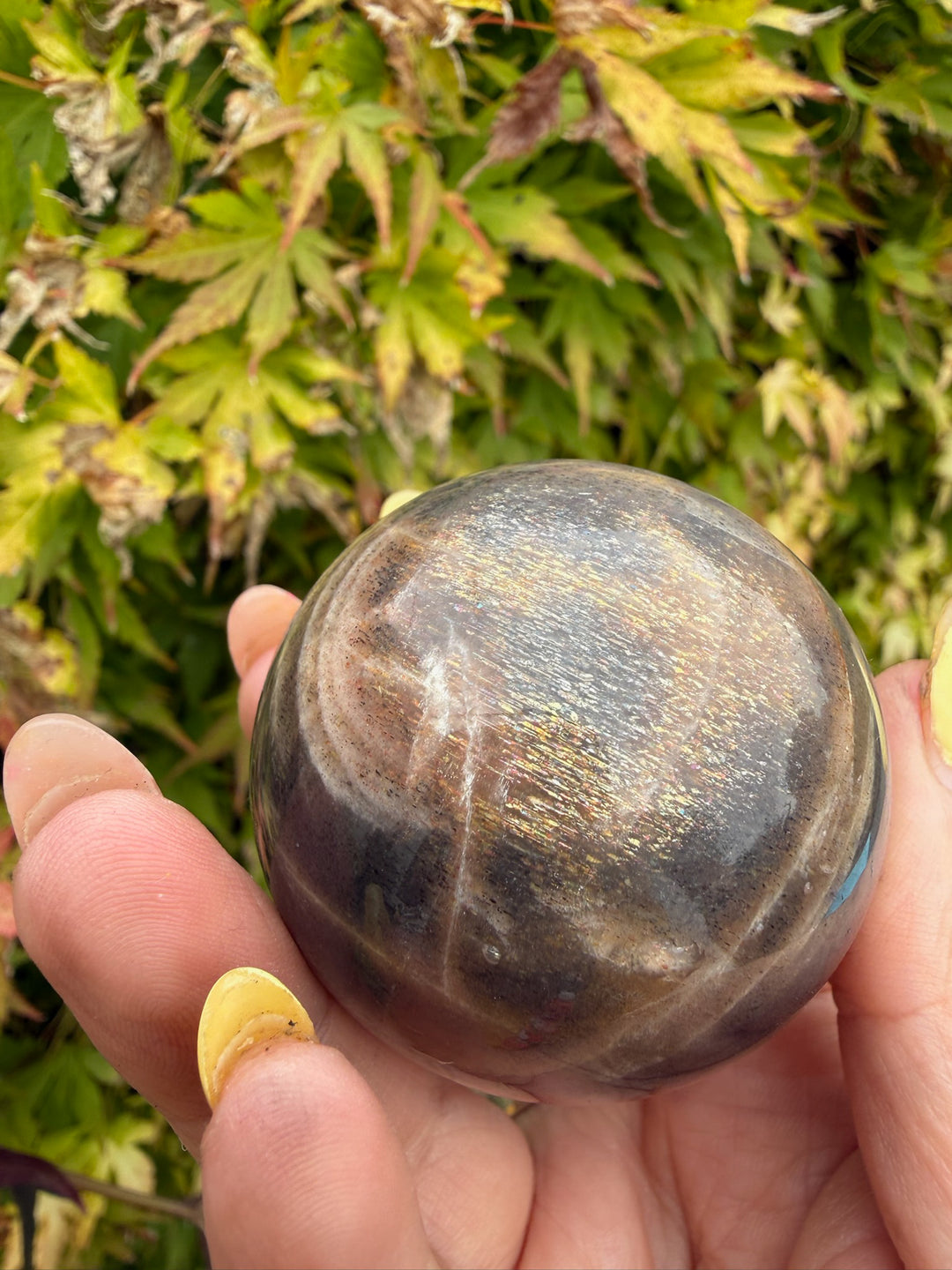 Black Moonstone and Sunstone Sphere from India 4.7cm Dia