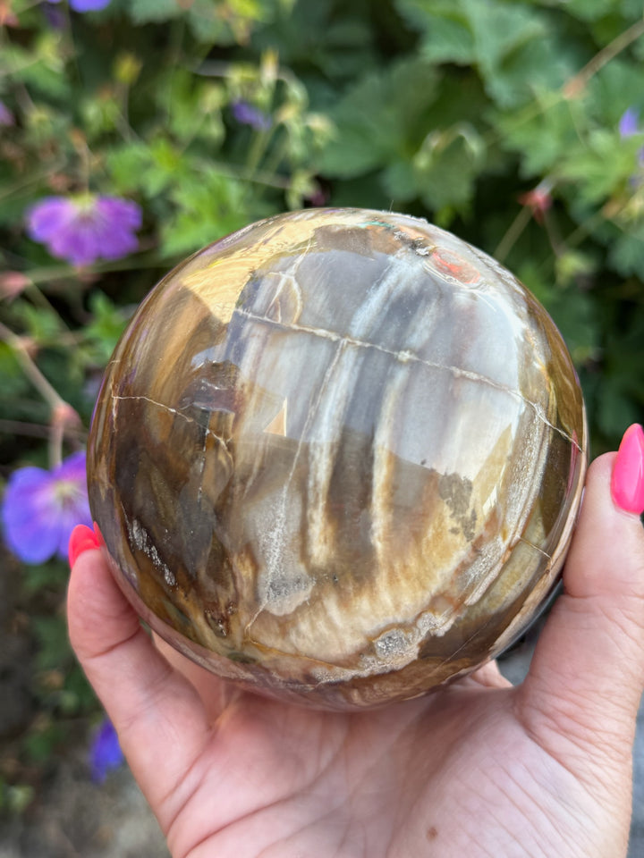 Large Petrified Wood Sphere from Madagascar 9.5cm Dia