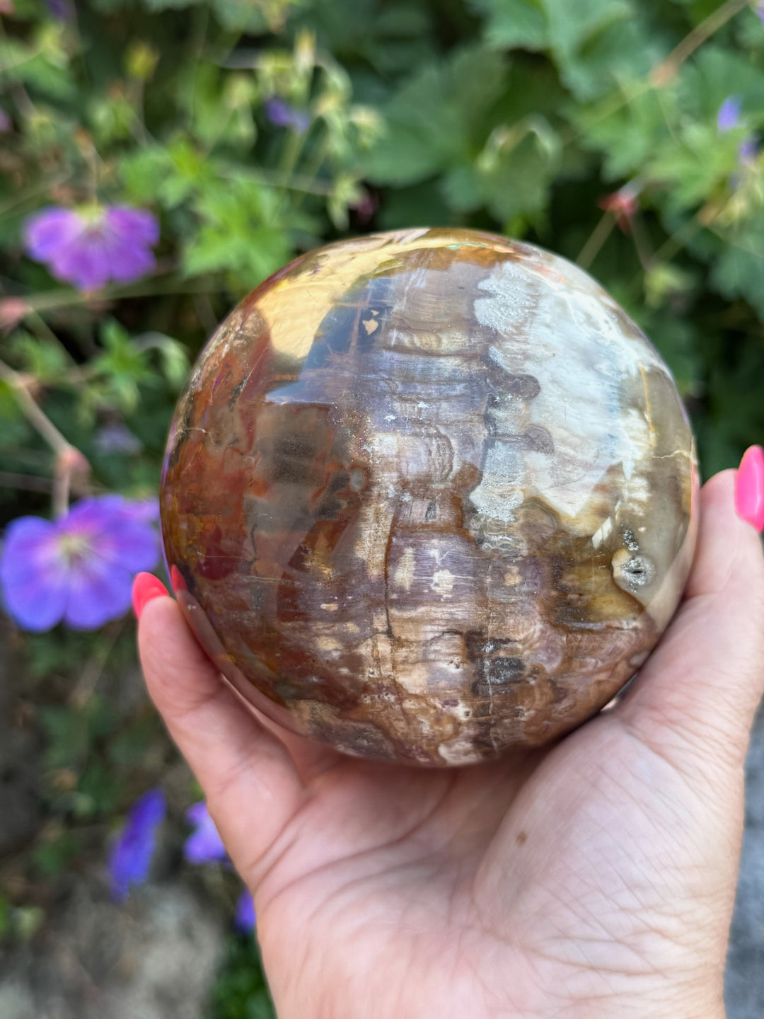 Large Petrified Wood Sphere from Madagascar 9.5cm Dia