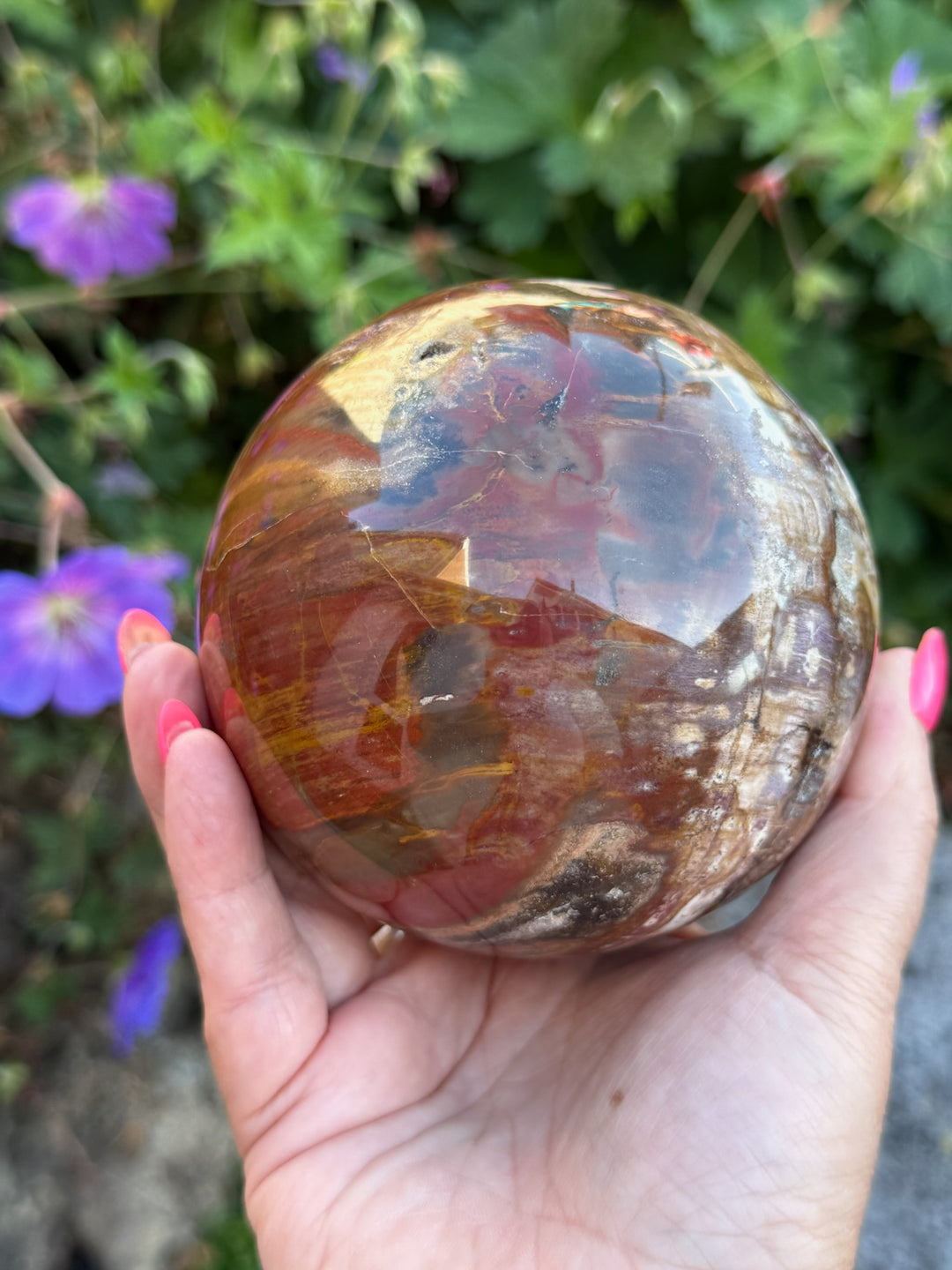Large Petrified Wood Sphere from Madagascar 9.5cm Dia