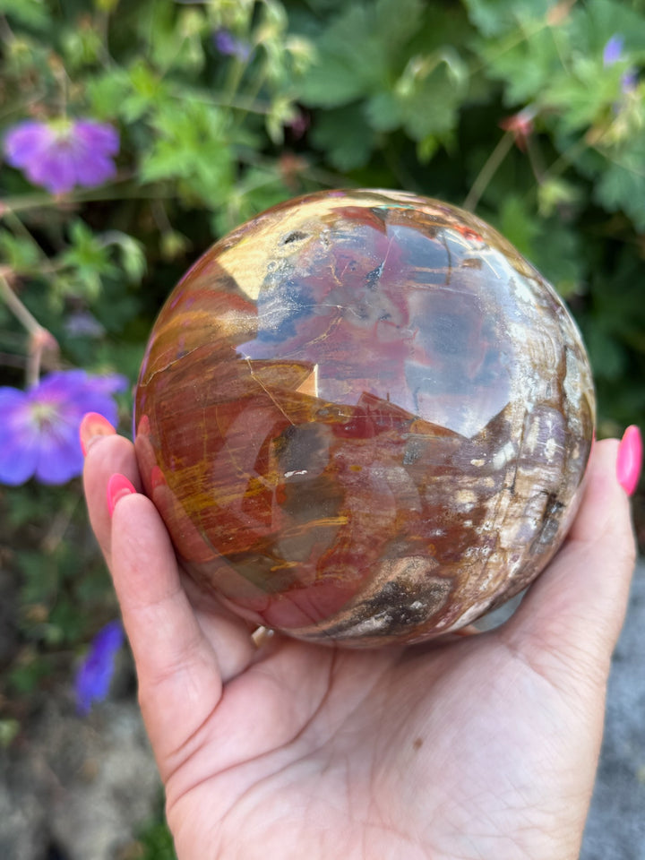 Large Petrified Wood Sphere from Madagascar 9.5cm Dia
