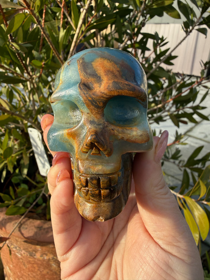 Blue Onyx Aquatine Lemurian Skull Carving