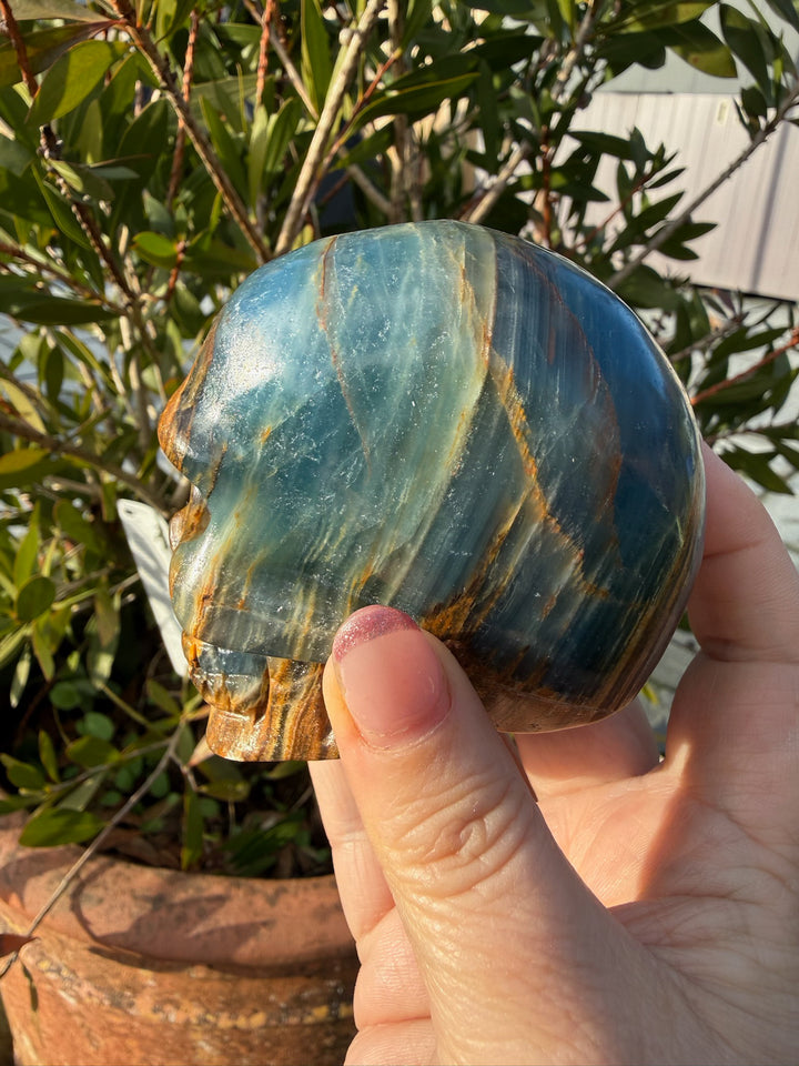 Blue Onyx Aquatine Lemurian Skull Carving