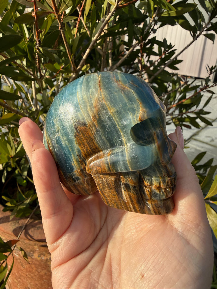 Blue Onyx Aquatine Lemurian Skull Carving