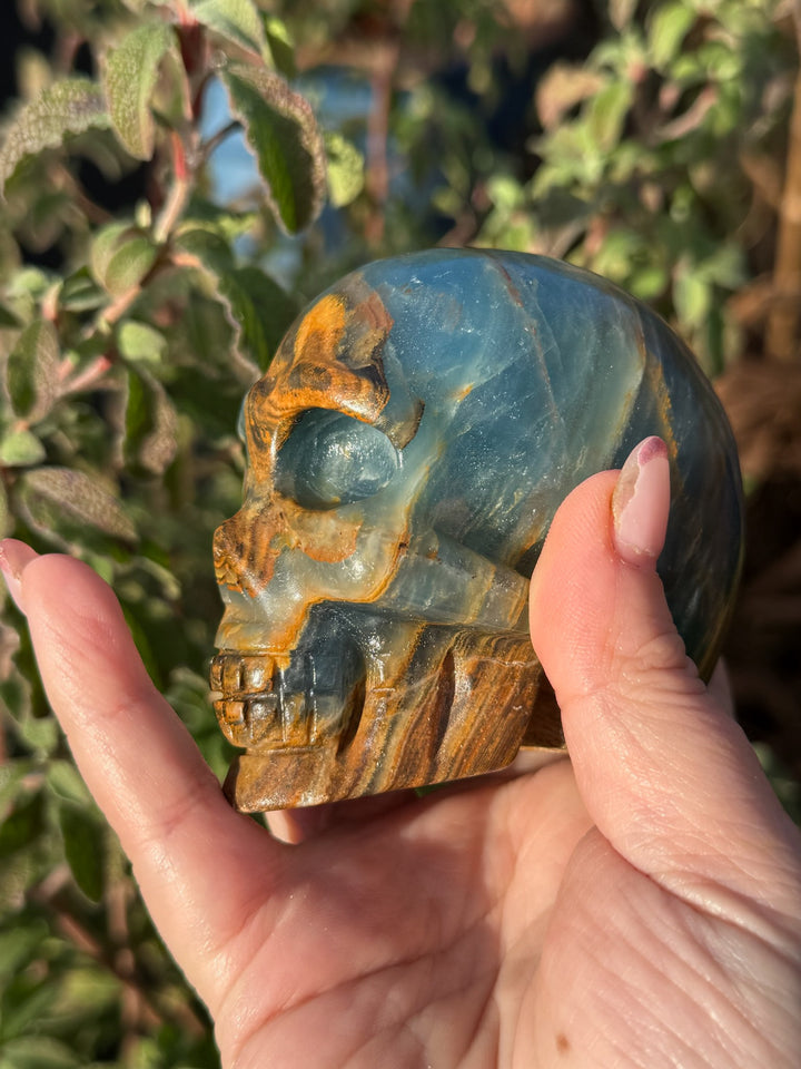 Blue Onyx Aquatine Lemurian Skull Carving