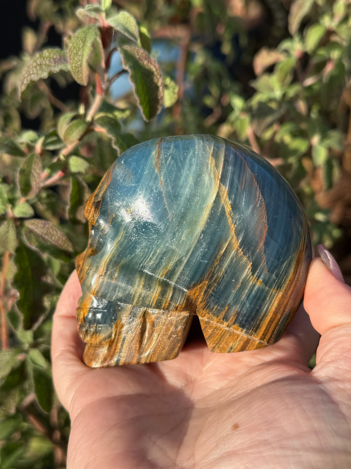 Blue Onyx Aquatine Lemurian Skull Carving
