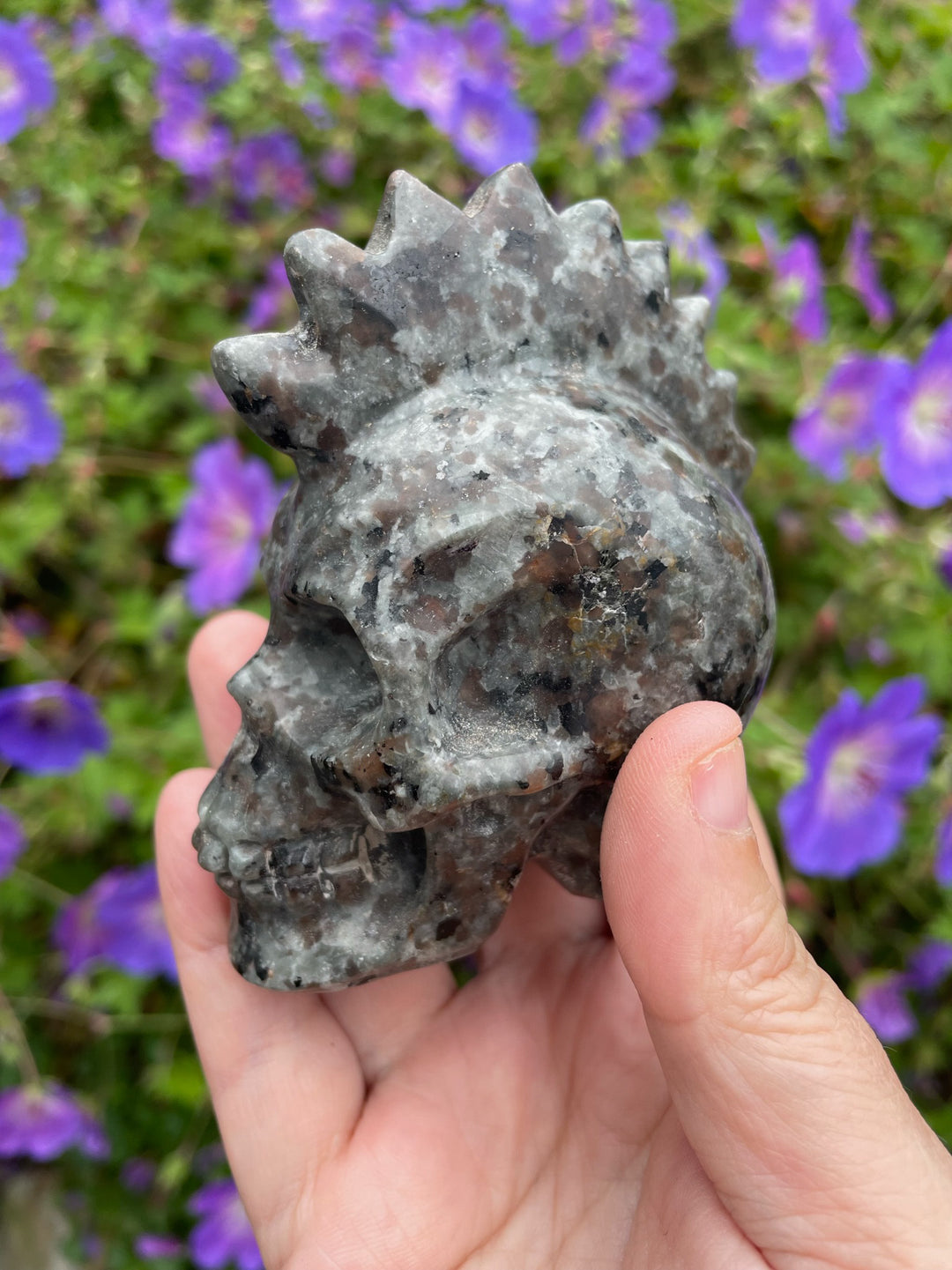 Mohican Yooperlite Skull