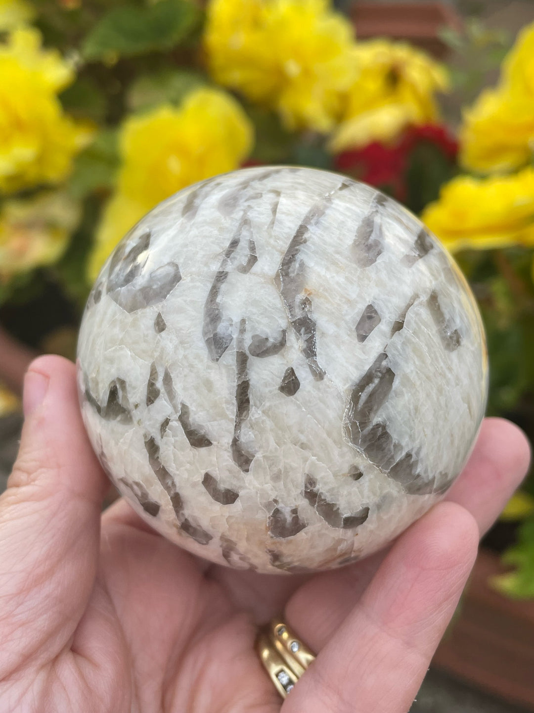 Graphic Feldspar Sphere
