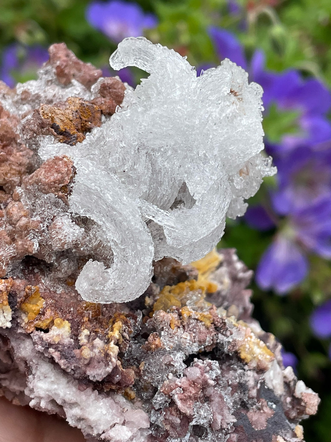 Rams Horn Gypsum Crystal Specimen