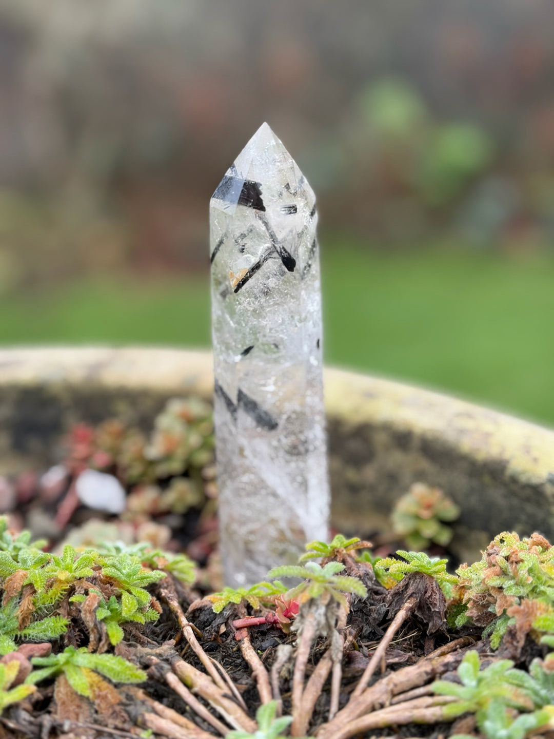 Black Tourmaline in Quartz Tower