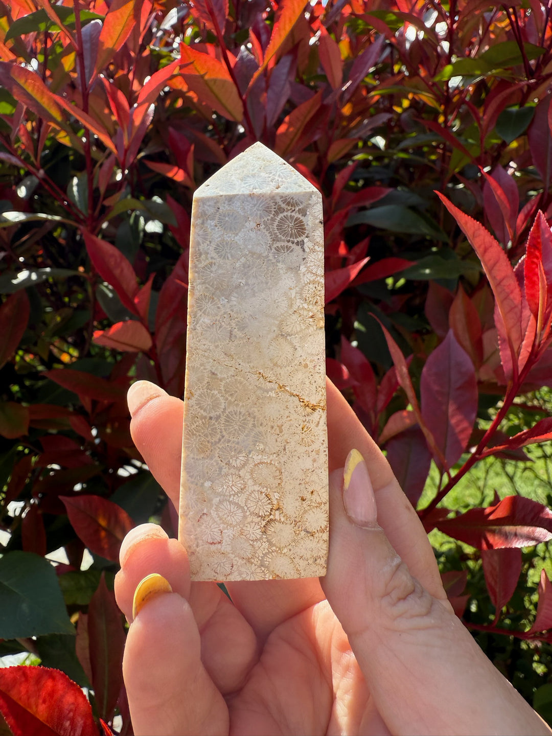 Coral Jasper Tower