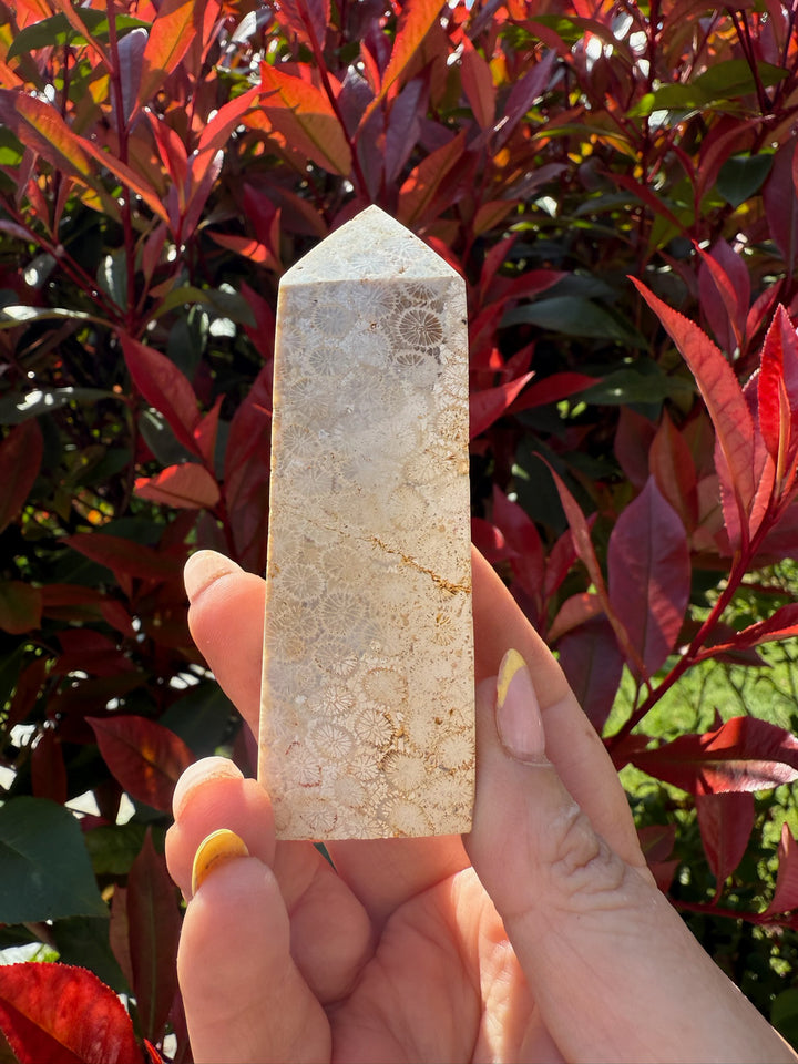 Coral Jasper Tower