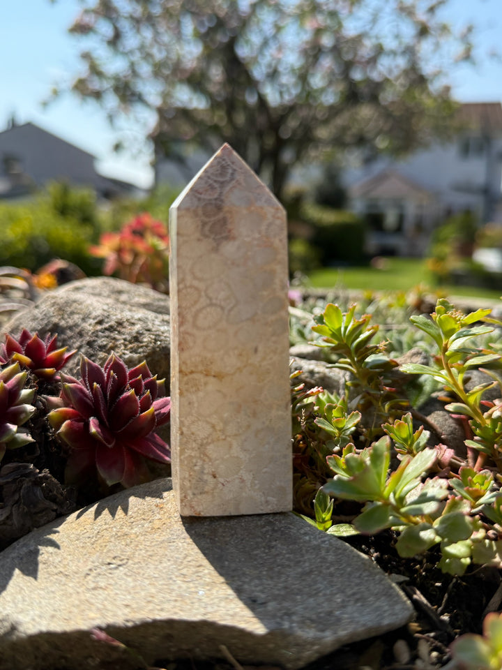 Coral Jasper Tower