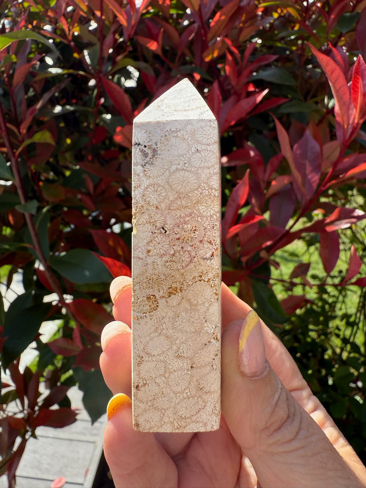 Coral Jasper Tower
