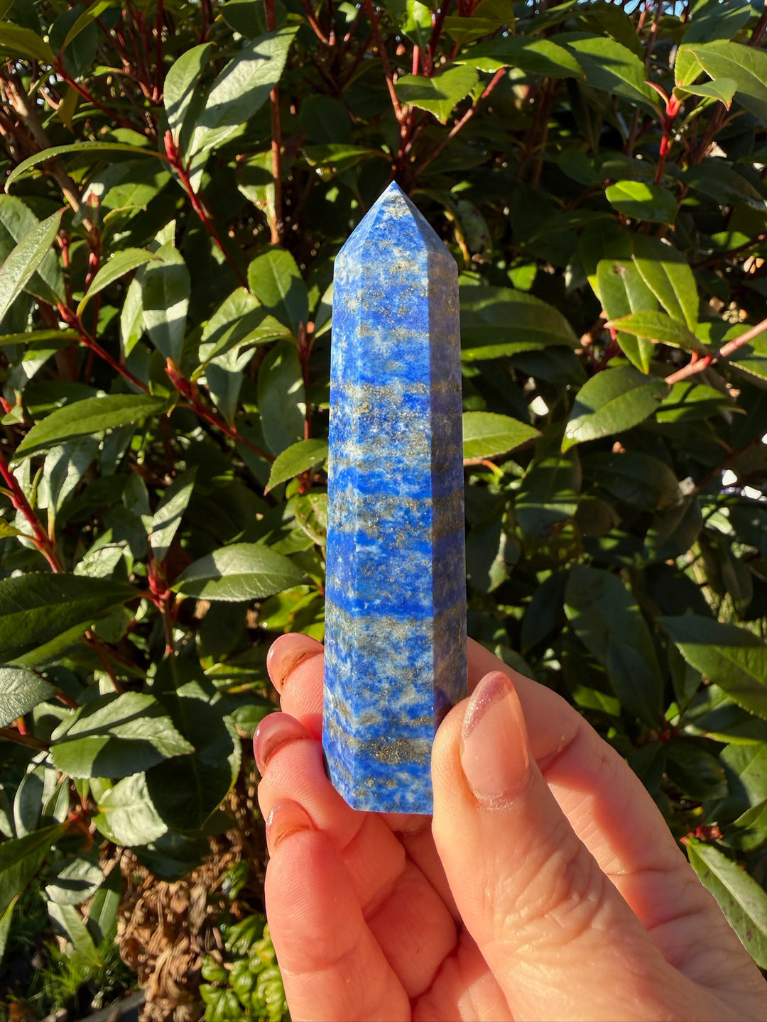 Lapis Lazuli Tower