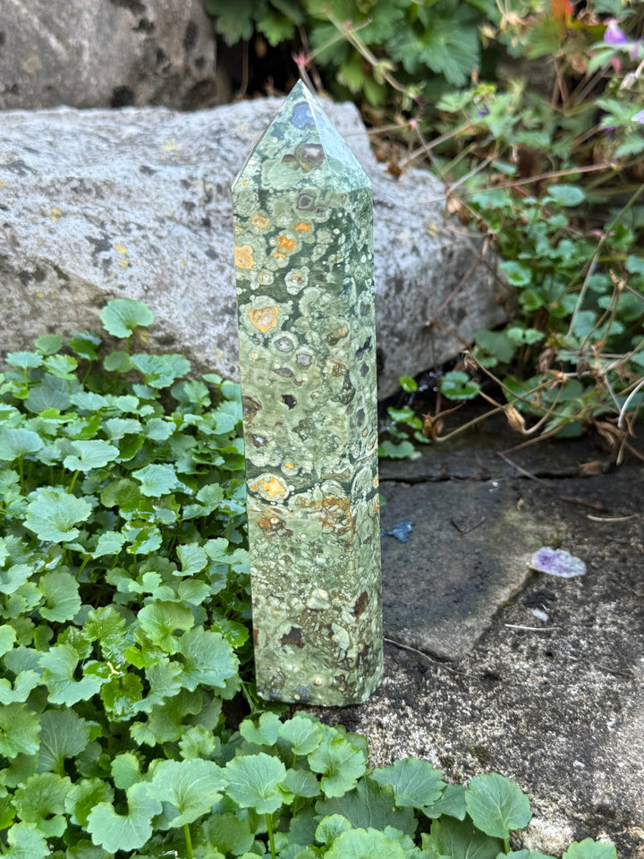 Rhyolite Tower Rainforest Jasper Carving