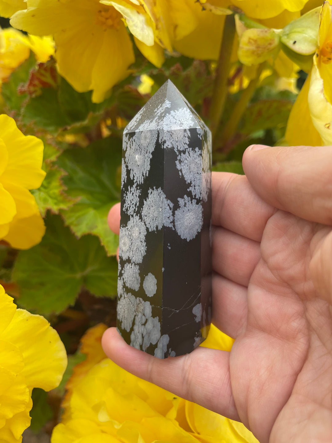 Snowflake Obsidian Tower
