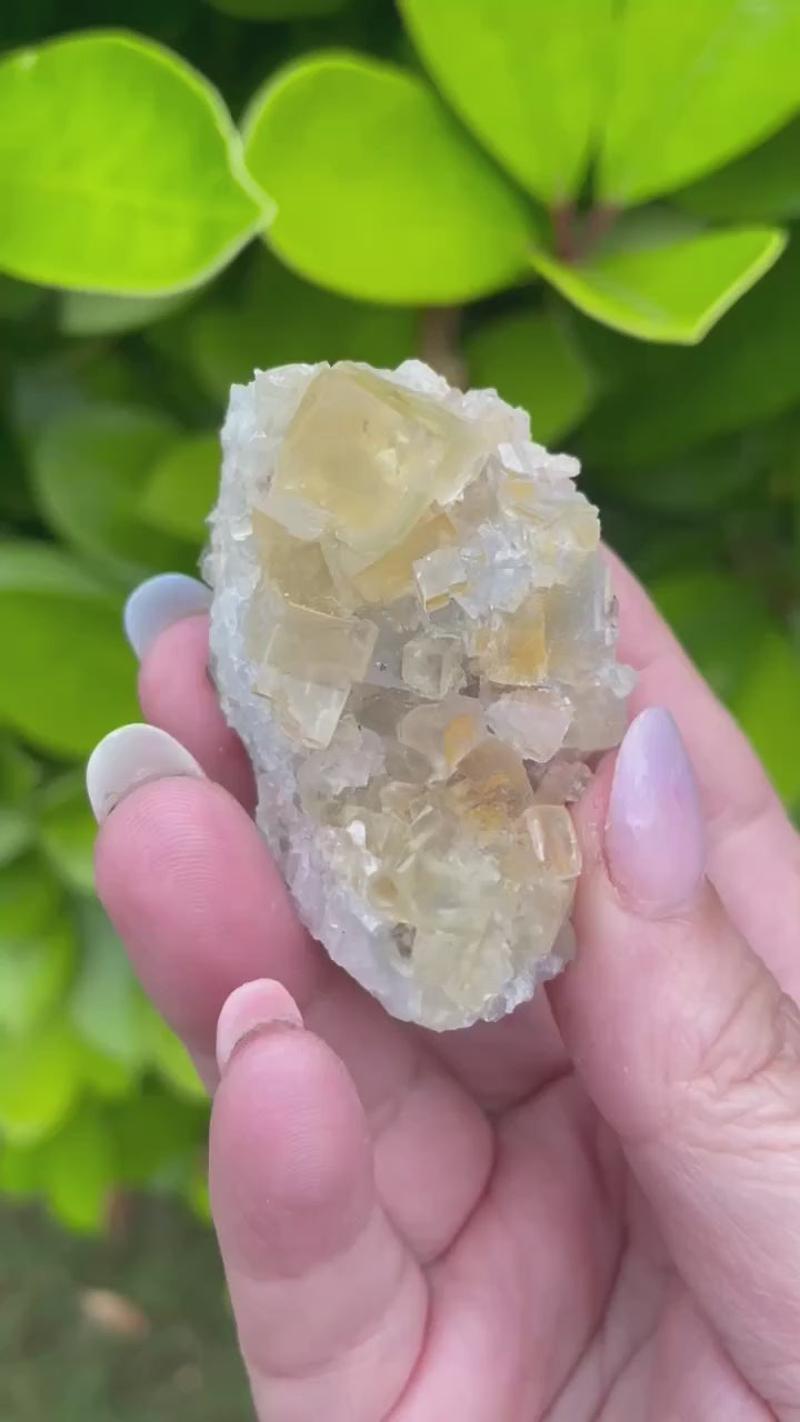 Yellow Cubic Fluorite from Beijing Specimen