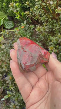 Load and play video in Gallery viewer, Large Red Ammolite Specimen
