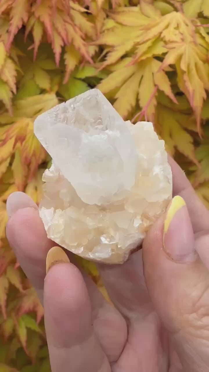 Unusual Shape Natural Clear and Honey Calcite Specimen