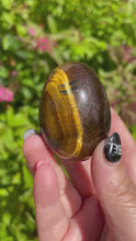 Load and play video in Gallery viewer, Tigers Eye Eggs
