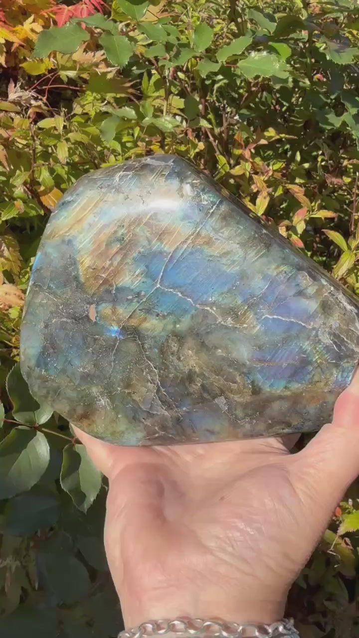 Blue Flash Labradorite Freeform from Madagascar