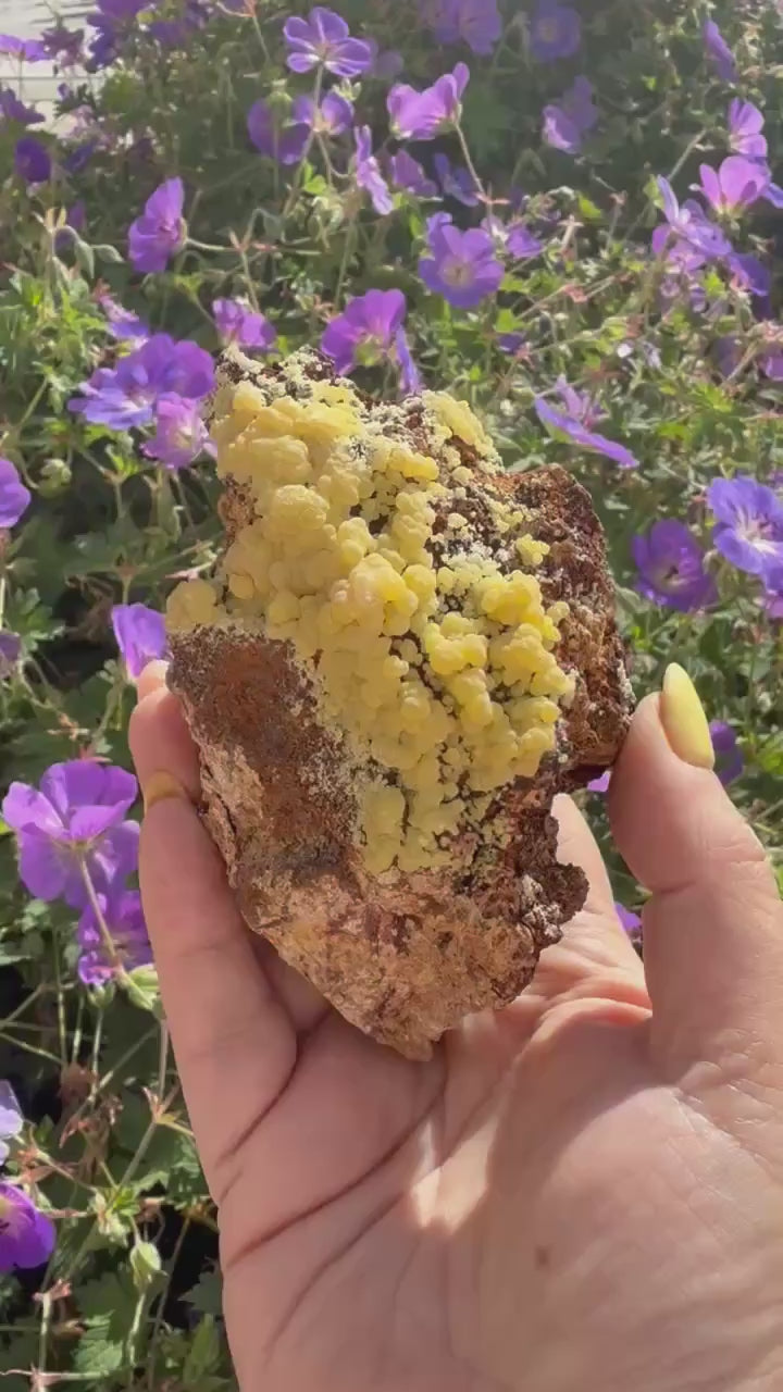 Large Mimetite Specimen from Durango Mexico