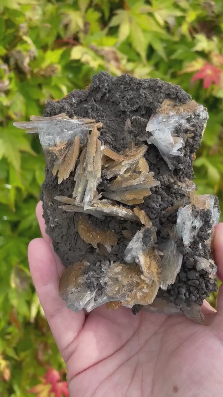 Blue Baryte Blades Specimen