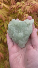 Load and play video in Gallery viewer, Prehnite Cluster Specimen

