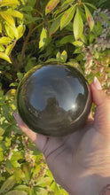 Load and play video in Gallery viewer, Large Gold Sheen Obsidian Sphere 8.5cm diameter

