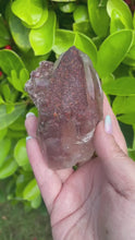 Load and play video in Gallery viewer, Unusual Mariposa Butterfly Calcite Specimen from Mexico
