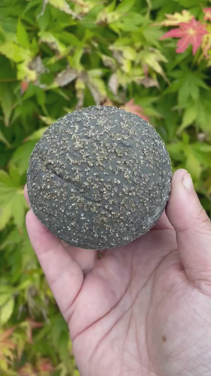 Pyrite Nodule Specimen