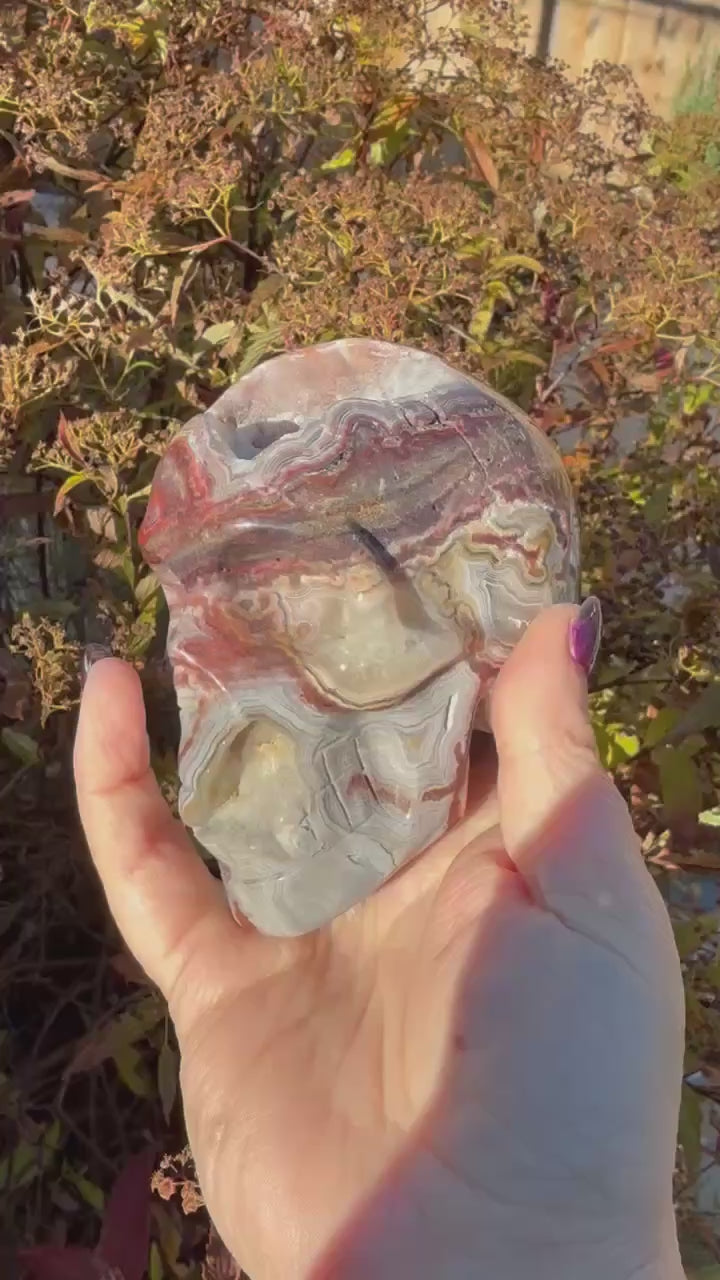 Druzy Crazy Lace Agate Skull Carving