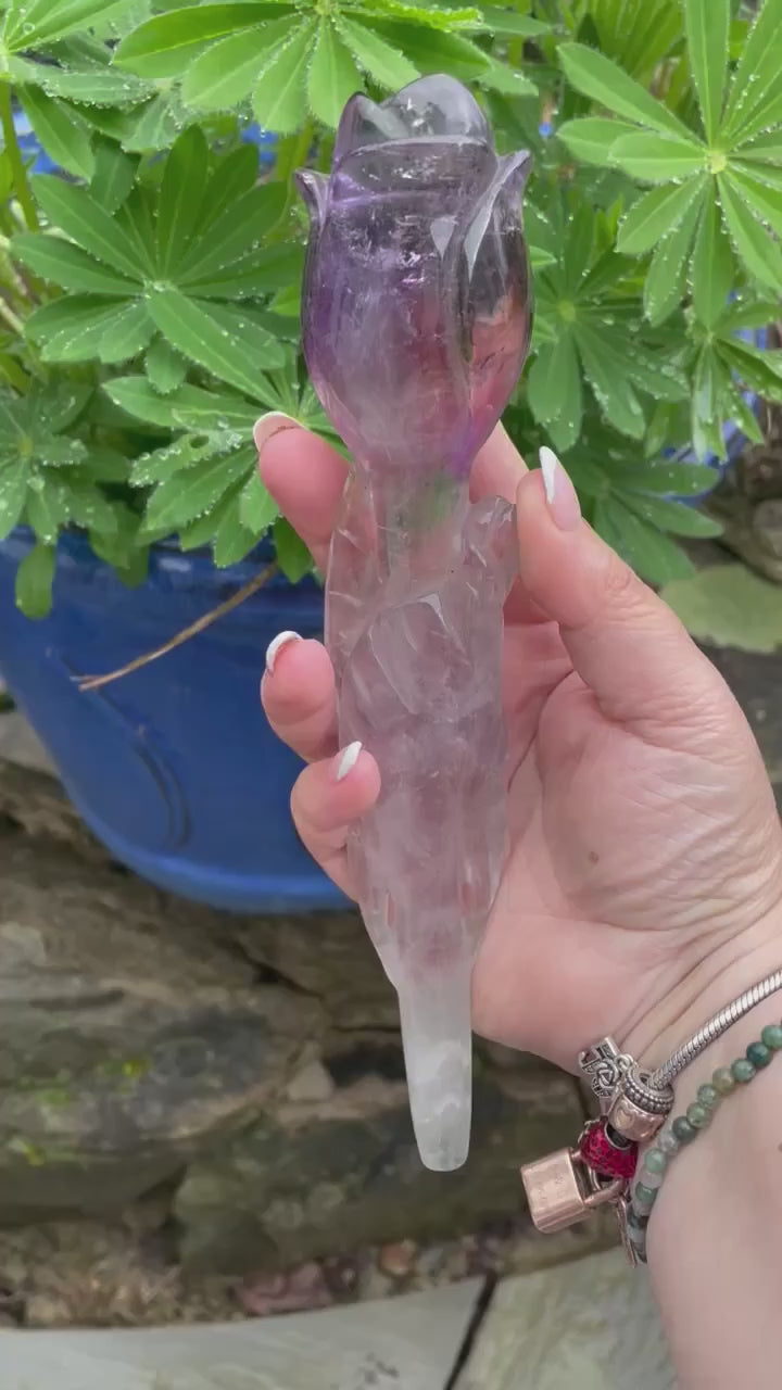 Amethyst Ametrine Root Rose Carving